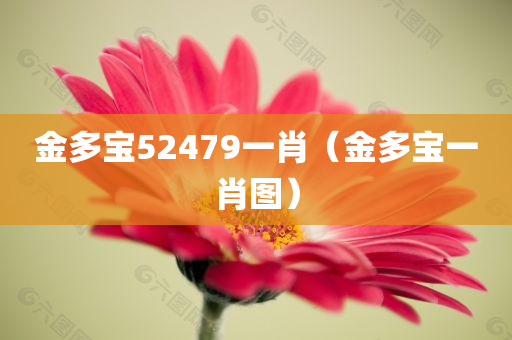 金多宝52479一肖（金多宝一肖图）