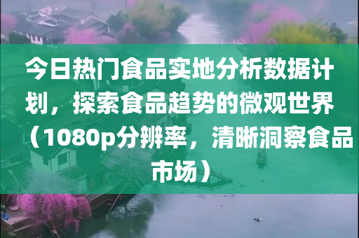 今日热门食品实地分析数据计划，探索食品趋势的微观世界（1080p分辨率，清晰洞察食品市场）