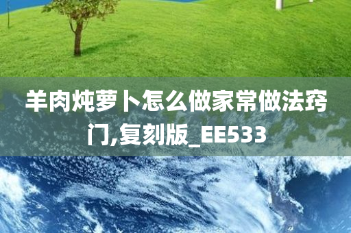 羊肉炖萝卜怎么做家常做法窍门,复刻版_EE533