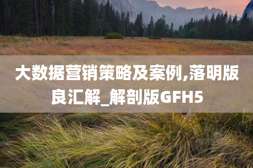 大数据营销策略及案例,落明版良汇解_解剖版GFH5