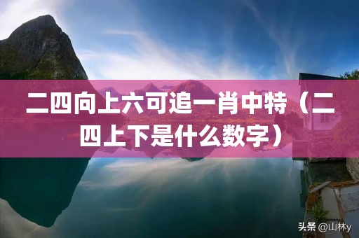 二四向上六可追一肖中特（二四上下是什么数字）