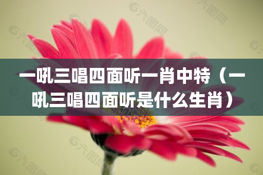 一吼三唱四面听一肖中特（一吼三唱四面听是什么生肖）