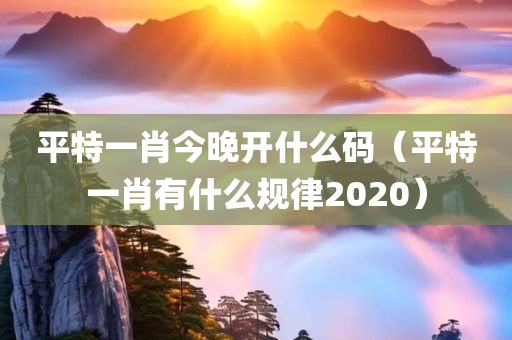 平特一肖今晚开什么码（平特一肖有什么规律2020）