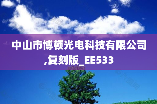 中山市博顿光电科技有限公司,复刻版_EE533