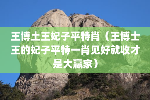 王博土王妃子平特肖（王博士王的妃子平特一肖见好就收才是大赢家）