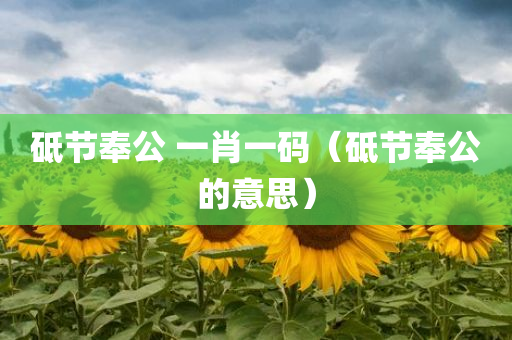 砥节奉公 一肖一码（砥节奉公的意思）