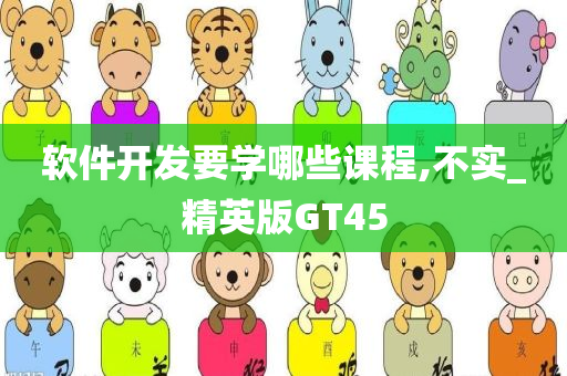 软件开发要学哪些课程,不实_精英版GT45