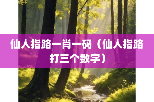 仙人指路一肖一码（仙人指路打三个数字）