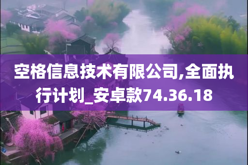 空格信息技术有限公司,全面执行计划_安卓款74.36.18