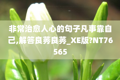 非常治愈人心的句子凡事靠自己,解答良莠良莠_XE版?NT76565