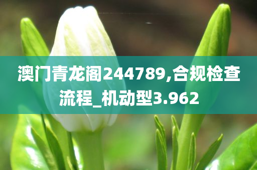 澳门青龙阁244789,合规检查流程_机动型3.962