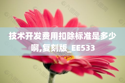 技术开发费用扣除标准是多少啊,复刻版_EE533