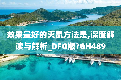 DFG版 第3页