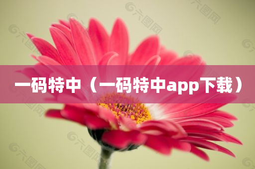 一码特中（一码特中app下载）