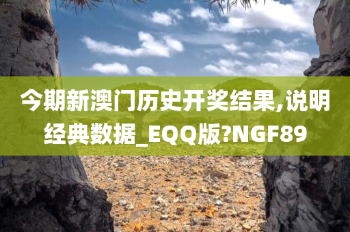 今期新澳门历史开奖结果,说明经典数据_EQQ版?NGF89