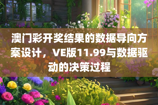 澳门彩开奖结果的数据导向方案设计，VE版11.99与数据驱动的决策过程