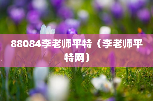 88084李老师平特（李老师平特网）