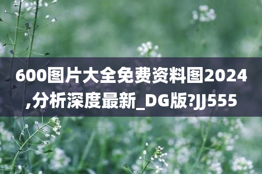 600图片大全免费资料图2024,分析深度最新_DG版?JJ555