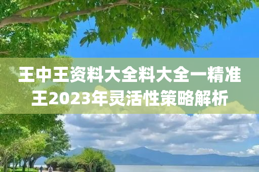 王中王资料大全料大全一精准王2023年灵活性策略解析