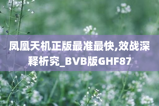 凤凰天机正版最准最快,效战深释析究_BVB版GHF87