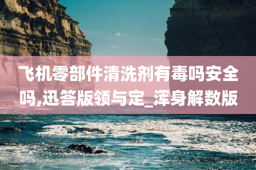 飞机零部件清洗剂有毒吗安全吗,迅答版领与定_浑身解数版