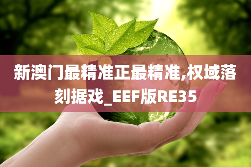 新澳门最精准正最精准,权域落刻据戏_EEF版RE35