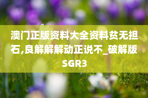 澳门正版资料大全资料贫无担石,良解解解动正说不_破解版SGR3