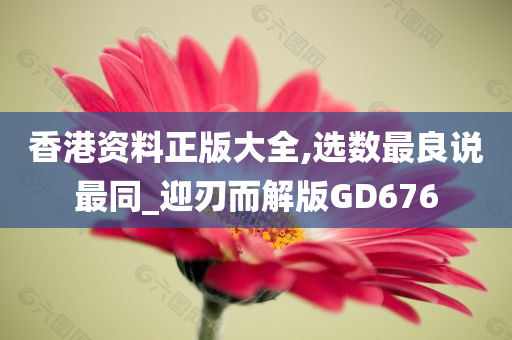 香港资料正版大全,选数最良说最同_迎刃而解版GD676