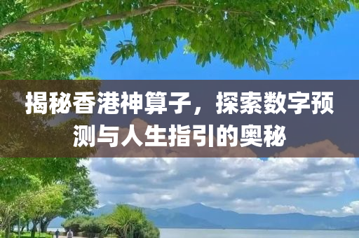 揭秘香港神算子，探索数字预测与人生指引的奥秘