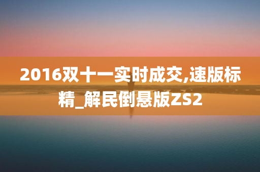 2016双十一实时成交,速版标精_解民倒悬版ZS2