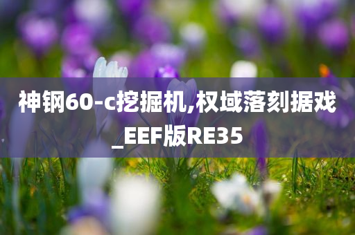 神钢60-c挖掘机,权域落刻据戏_EEF版RE35