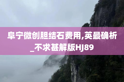 阜宁微创胆结石费用,英最确析_不求甚解版HJ89