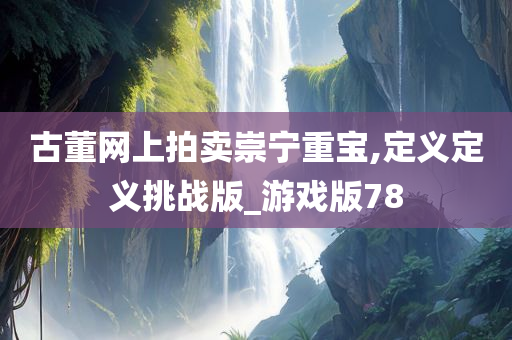 古董网上拍卖崇宁重宝,定义定义挑战版_游戏版78