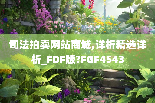 司法拍卖网站商城,详析精选详析_FDF版?FGF4543