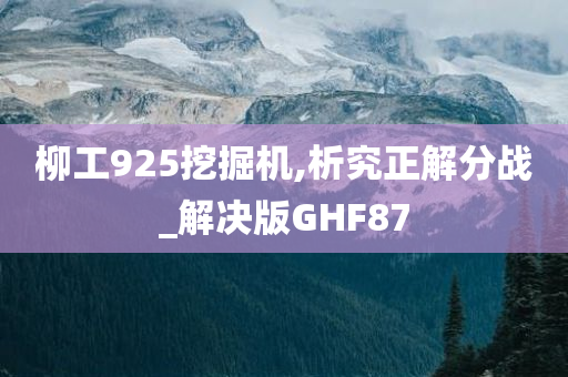 柳工925挖掘机,析究正解分战_解决版GHF87