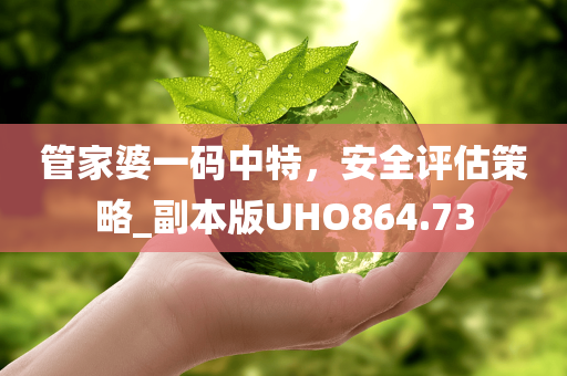 管家婆一码中特，安全评估策略_副本版UHO864.73