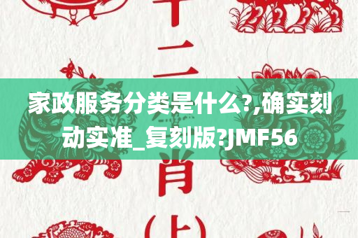 家政服务分类是什么?,确实刻动实准_复刻版?JMF56