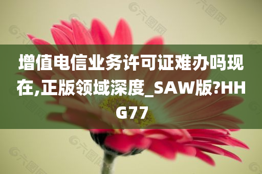 增值电信业务许可证难办吗现在,正版领域深度_SAW版?HHG77