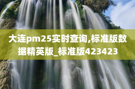 大连pm25实时查询,标准版数据精英版_标准版423423