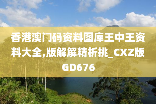 香港澳门码资料图库王中王资料大全,版解解精析挑_CXZ版GD676