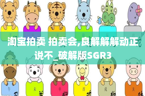 淘宝拍卖 拍卖会,良解解解动正说不_破解版SGR3