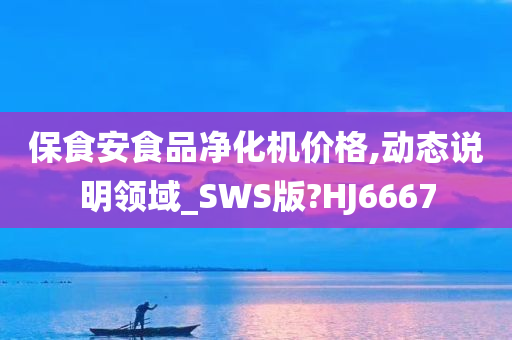 保食安食品净化机价格,动态说明领域_SWS版?HJ6667