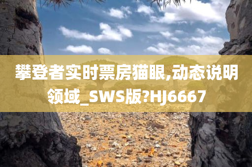 攀登者实时票房猫眼,动态说明领域_SWS版?HJ6667