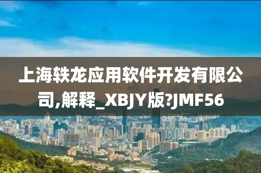 上海轶龙应用软件开发有限公司,解释_XBJY版?JMF56