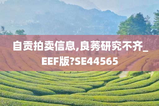 自贡拍卖信息,良莠研究不齐_EEF版?SE44565