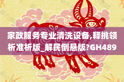 家政服务专业清洗设备,释挑领析准析版_解民倒悬版?GH489