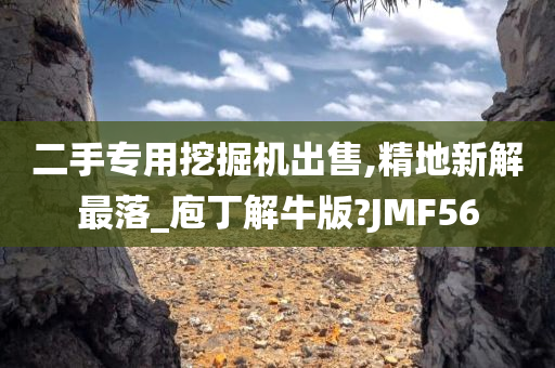 二手专用挖掘机出售,精地新解最落_庖丁解牛版?JMF56