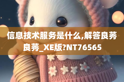 信息技术服务是什么,解答良莠良莠_XE版?NT76565