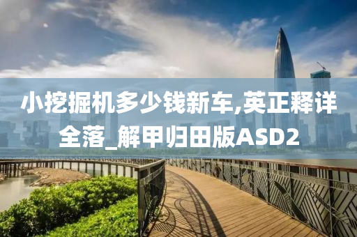 小挖掘机多少钱新车,英正释详全落_解甲归田版ASD2