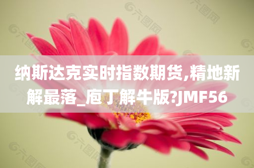 纳斯达克实时指数期货,精地新解最落_庖丁解牛版?JMF56